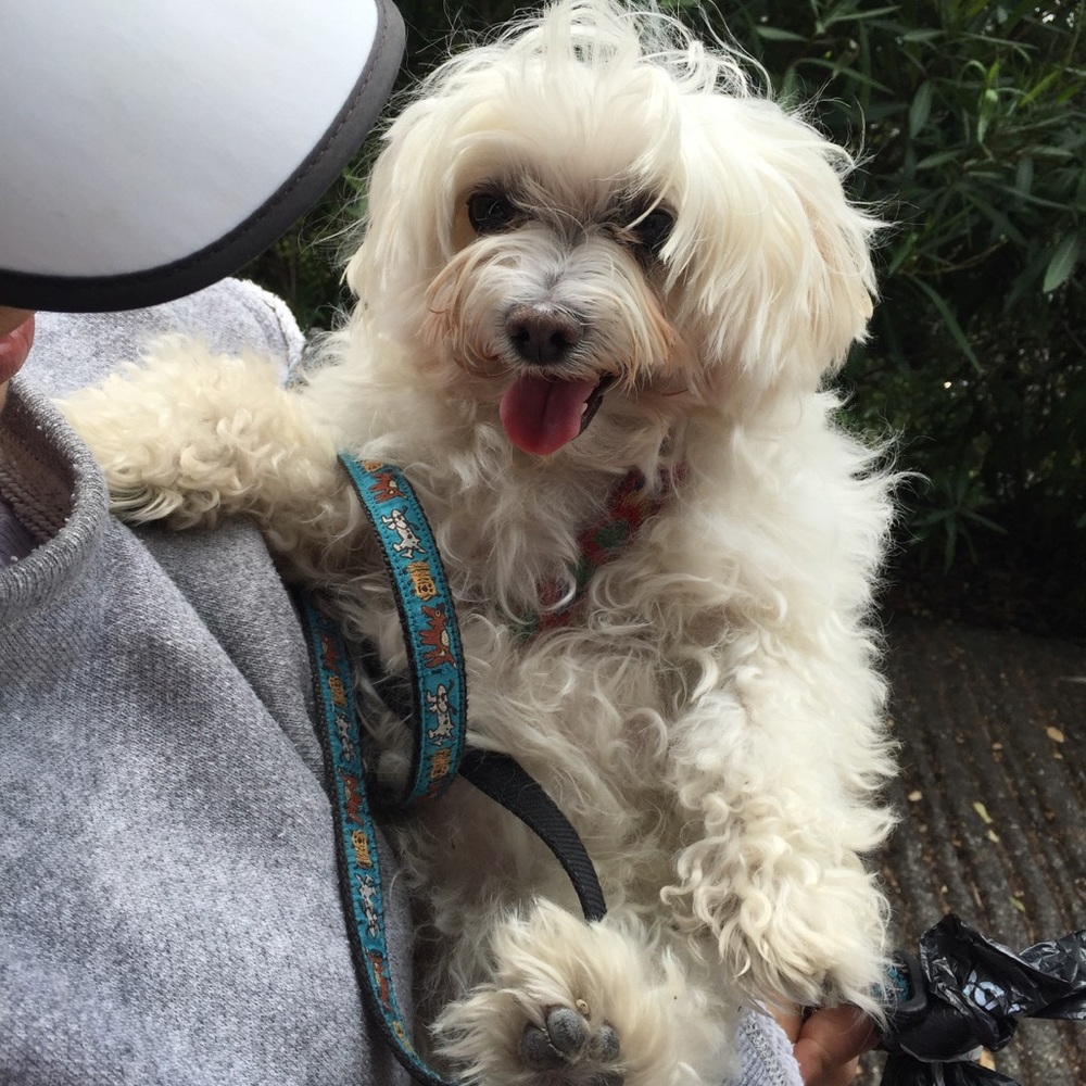 Meet your Posher, Mia